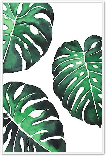 Monstera III von Sisi & Seb