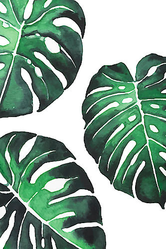 Monstera III von Sisi & Seb