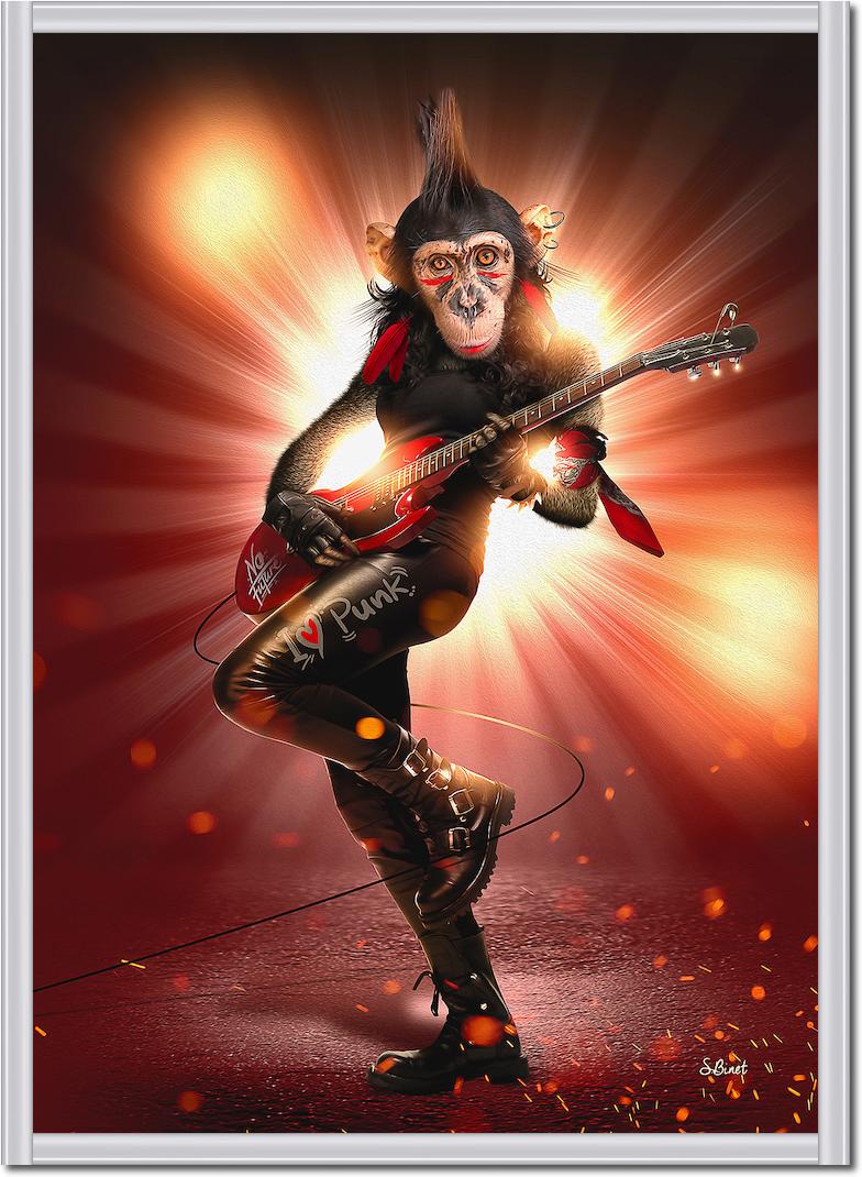 Monkey Punk von Sylvain Binet