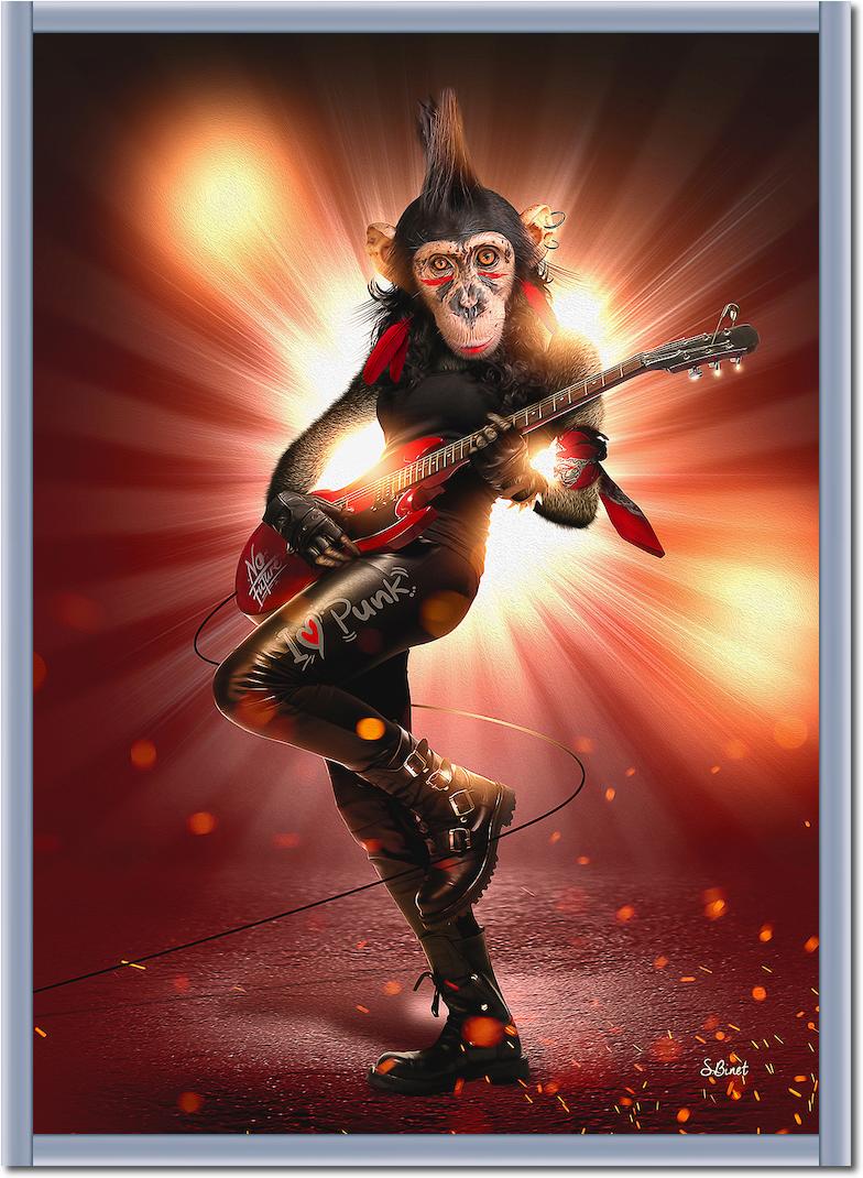 Monkey Punk von Sylvain Binet