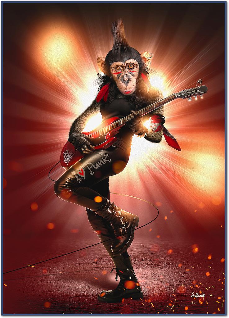 Monkey Punk von Sylvain Binet