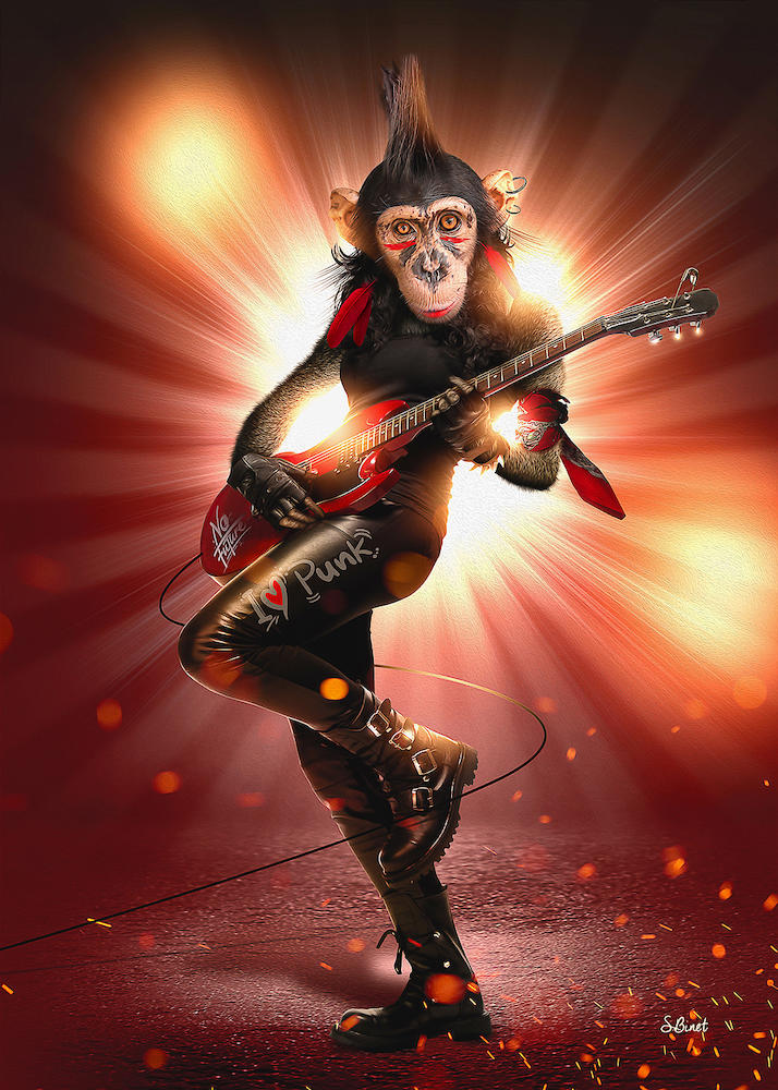 Monkey Punk von Sylvain Binet