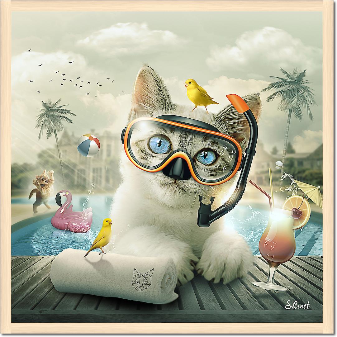 Cat piscine von Sylvain Binet