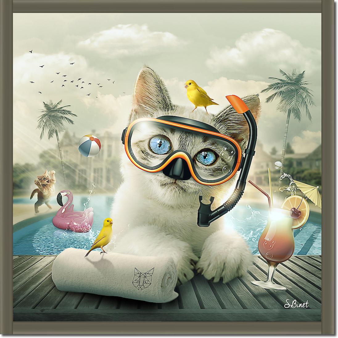 Cat piscine von Sylvain Binet