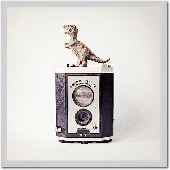 T-Rex & Vintage Camera von Susannah Tucker Photography