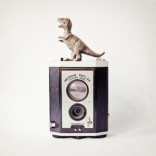 T-Rex & Vintage Camera von Susannah Tucker Photography