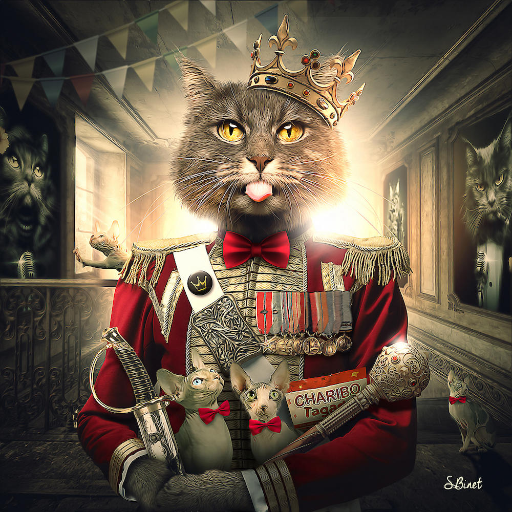 Chat Royal von Sylvain Binet