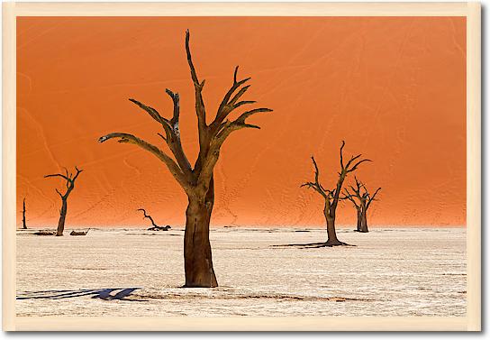 Trees of Deadvlei von Peter Hillert