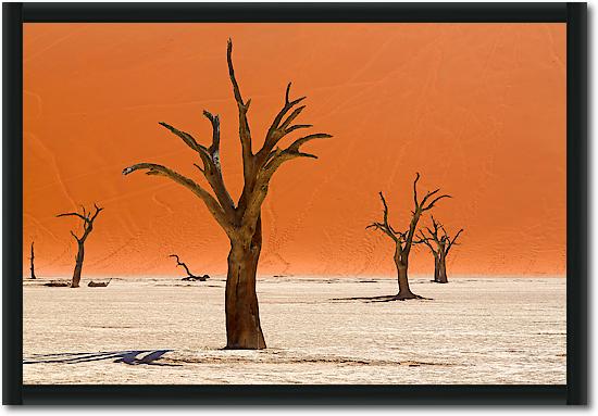 Trees of Deadvlei von Peter Hillert