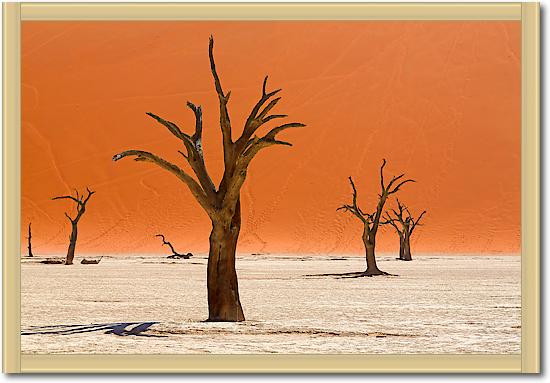 Trees of Deadvlei von Peter Hillert