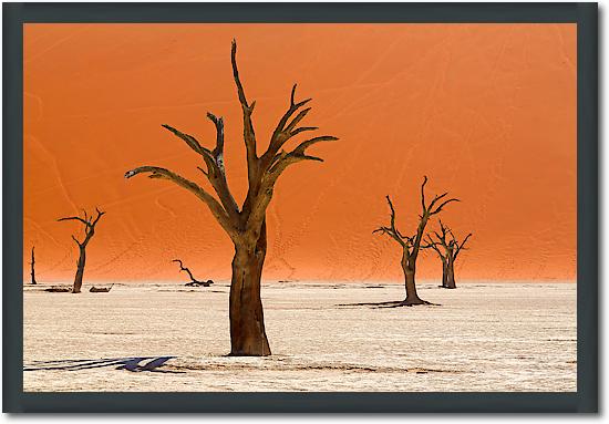 Trees of Deadvlei von Peter Hillert