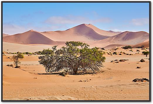 Namib Sandsea von Peter Hillert