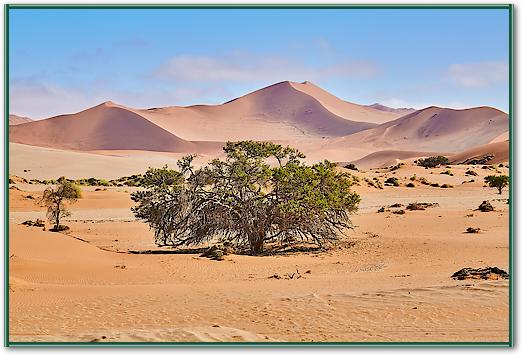 Namib Sandsea von Peter Hillert