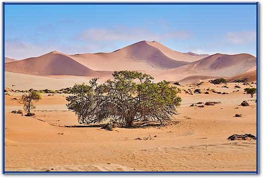 Namib Sandsea von Peter Hillert