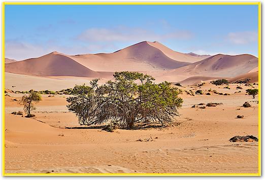 Namib Sandsea von Peter Hillert