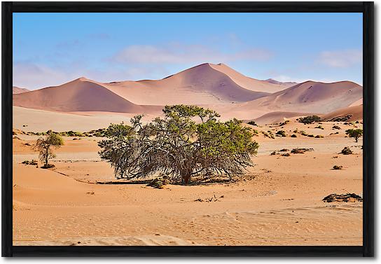 Namib Sandsea von Peter Hillert