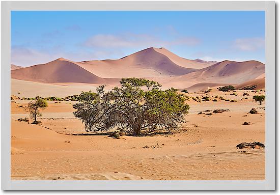 Namib Sandsea von Peter Hillert