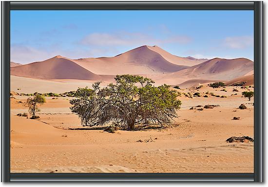 Namib Sandsea von Peter Hillert