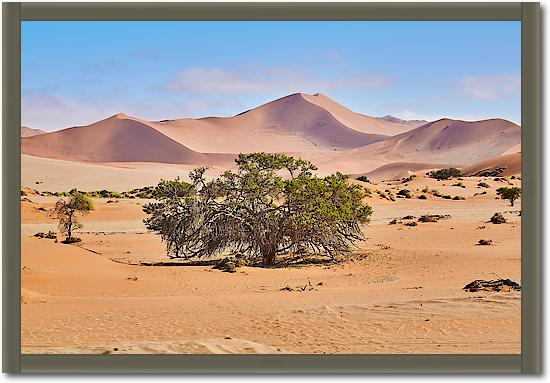 Namib Sandsea von Peter Hillert