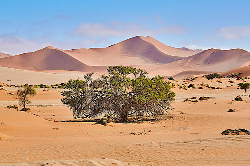 Namib Sandsea von Peter Hillert