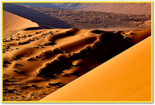 Namib I von Peter Hillert