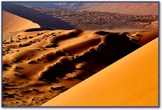 Namib I von Peter Hillert