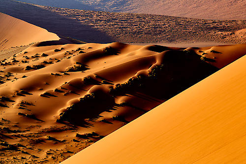 Namib I von Peter Hillert