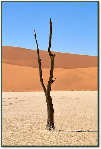 Deadvlei von Peter Hillert