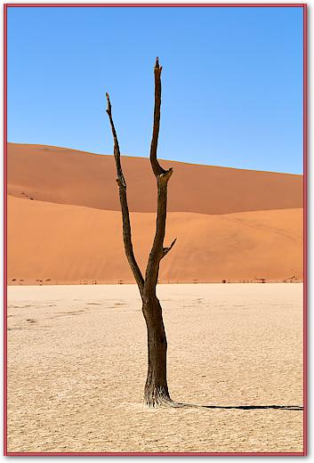 Deadvlei von Peter Hillert