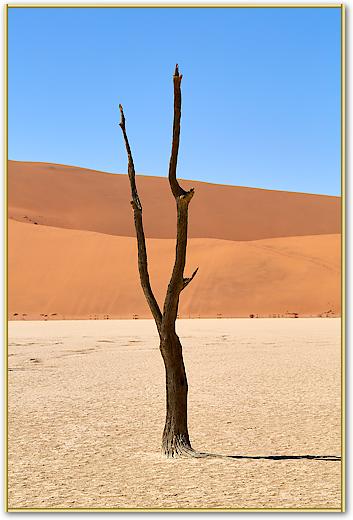 Deadvlei von Peter Hillert