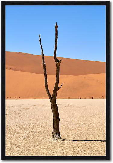 Deadvlei von Peter Hillert