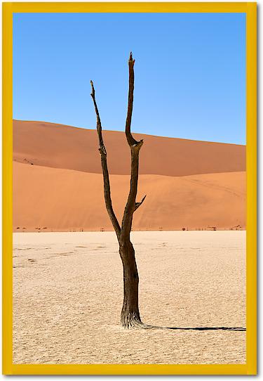 Deadvlei von Peter Hillert