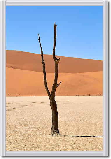 Deadvlei von Peter Hillert