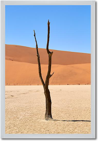 Deadvlei von Peter Hillert