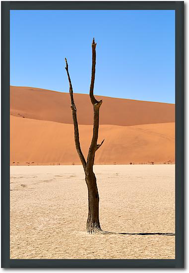 Deadvlei von Peter Hillert