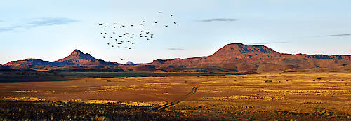 Damaraland von Peter Hillert