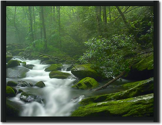 Roaring Fork River flowing through forest in Great Smoky Mountains National Park, Tennessee von Tim Fitzharris