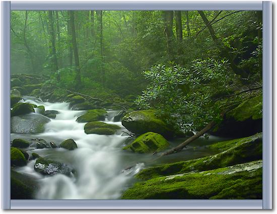 Roaring Fork River flowing through forest in Great Smoky Mountains National Park, Tennessee von Tim Fitzharris