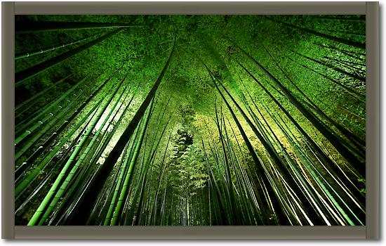 Bamboo Night von Takeshi Marumoto