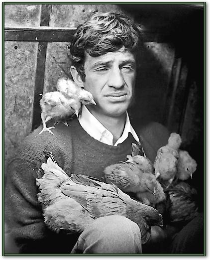 Jean Paul Belmondo von Hollywood Photo Archive