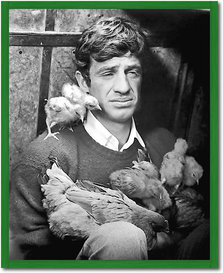 Jean Paul Belmondo von Hollywood Photo Archive