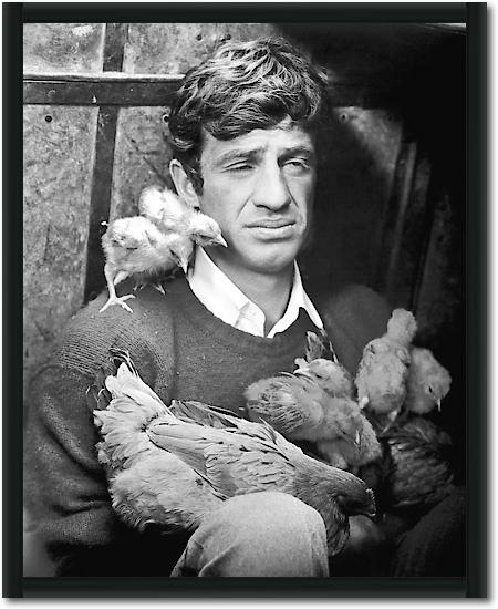 Jean Paul Belmondo von Hollywood Photo Archive