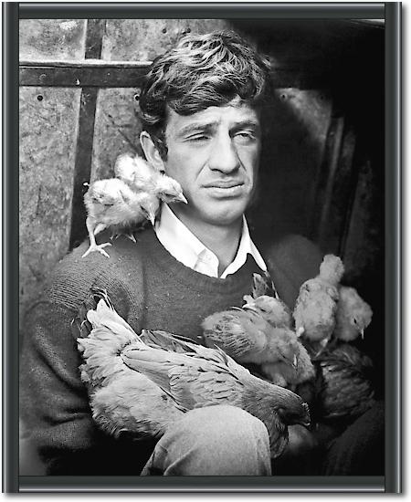 Jean Paul Belmondo von Hollywood Photo Archive