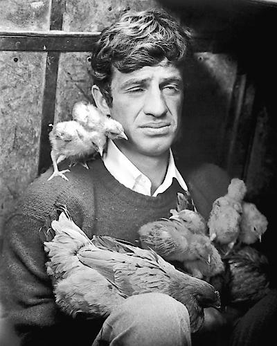 Jean Paul Belmondo von Hollywood Photo Archive