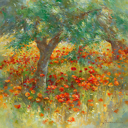 Les coquelicots von Johan Messely