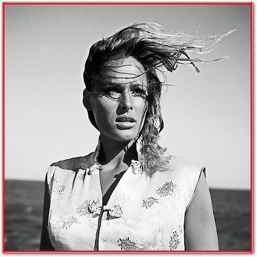 Ursula Andress - Dr. No von Hollywood Photo Archive