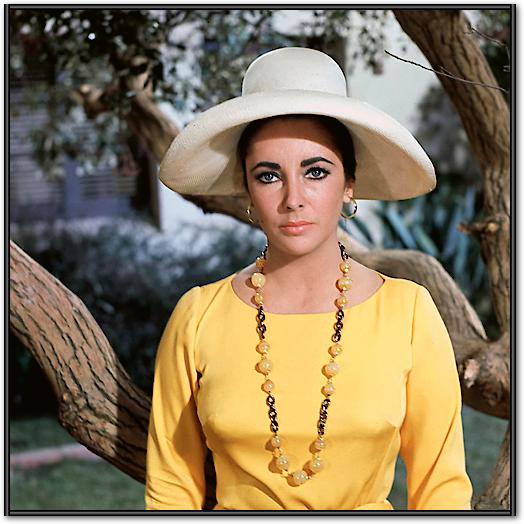 Elizabeth Taylor von Hollywood Photo Archive