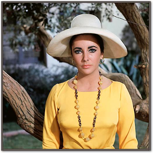 Elizabeth Taylor von Hollywood Photo Archive