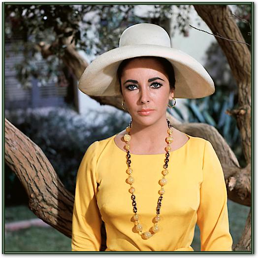 Elizabeth Taylor von Hollywood Photo Archive