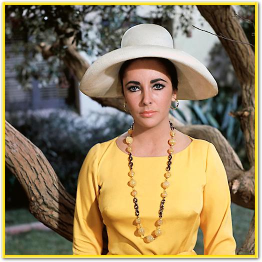 Elizabeth Taylor von Hollywood Photo Archive